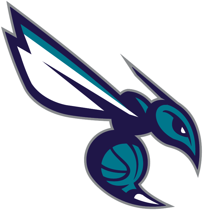 Charlotte Hornets 2014-Pres Alternate Logo iron on transfers for clothing version 4